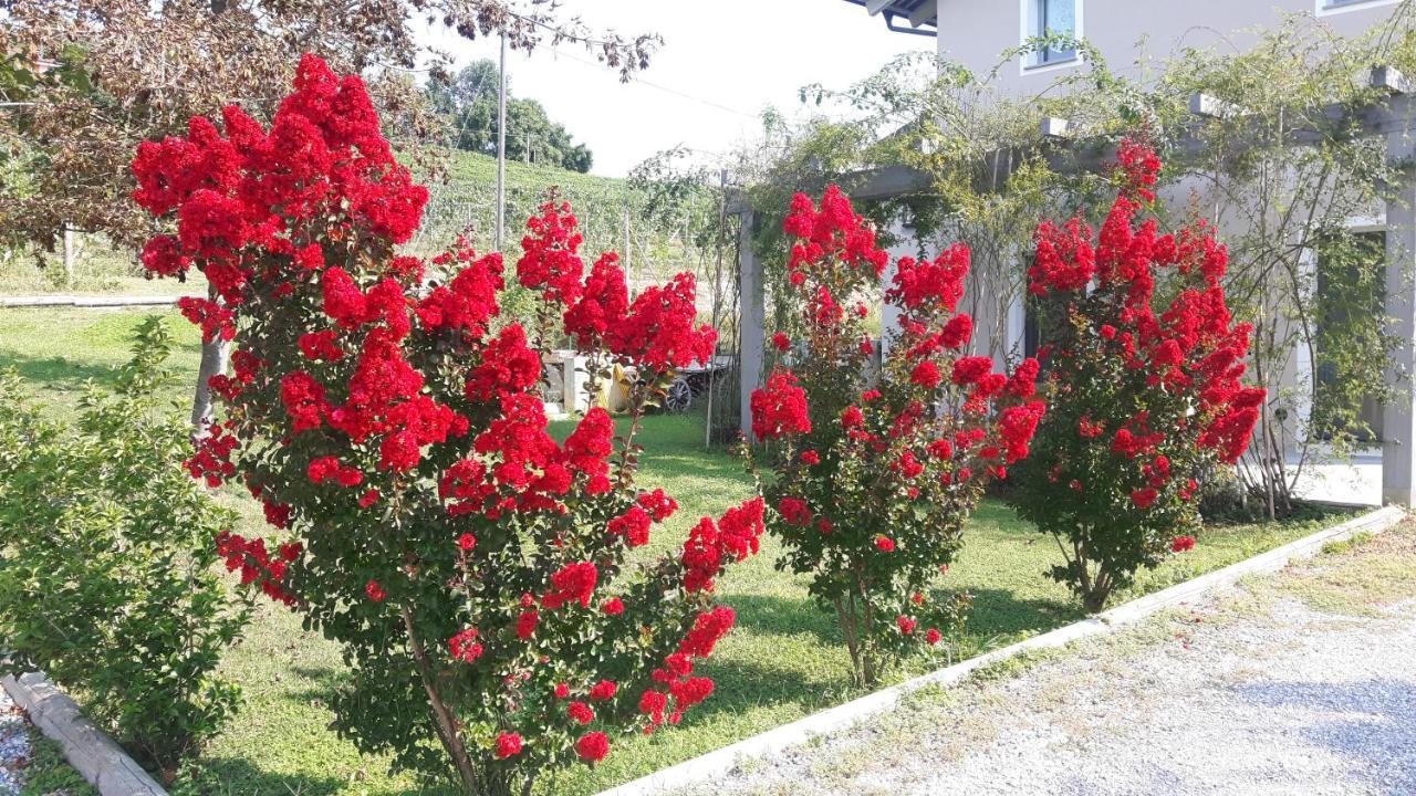 Casa Nalin Apartment Ла Мора Екстериор снимка